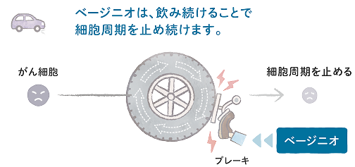 ベージニオが細胞周期を止める作用イメージ