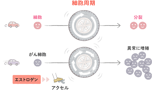 通常の細胞分裂とがん細胞の異常な増殖のイメージ