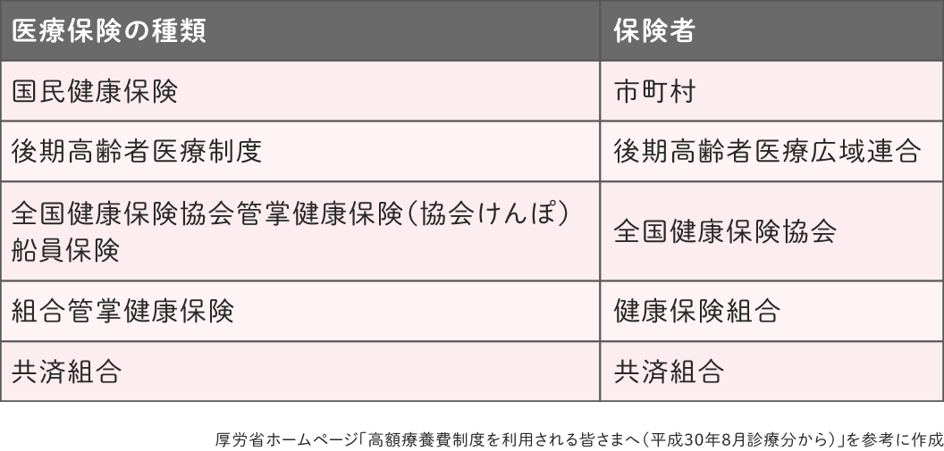 医療保険の種類別の保険者